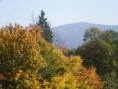 /album/fotogalerie/podzim-2010-priroda-086-jpg/